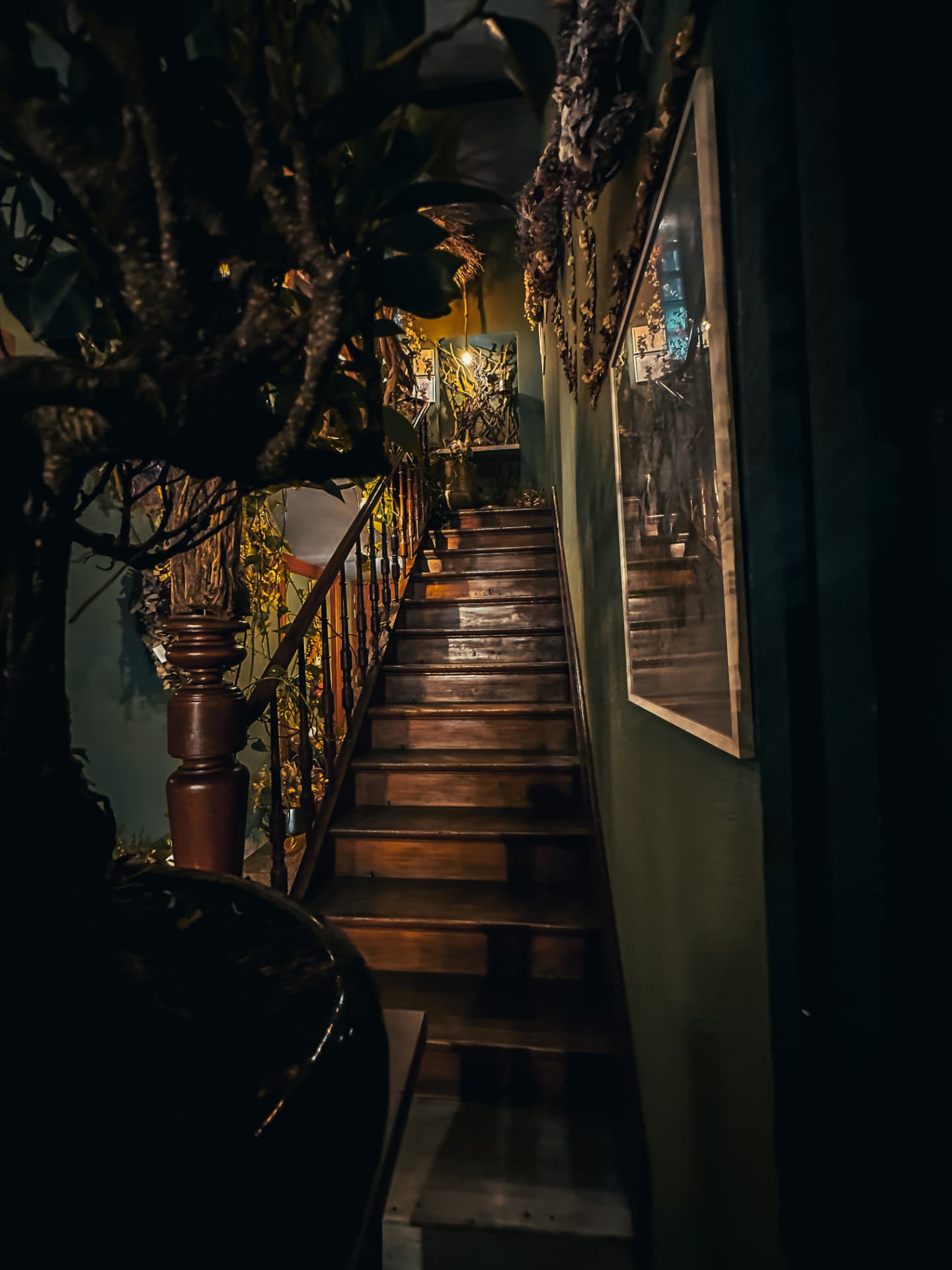 Moody wooden staircase surrounded by foliage and framed prints